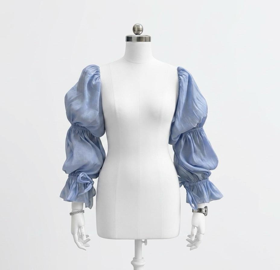 Blue Ruffle Sleeve